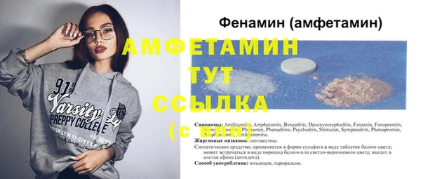 индика Богородск
