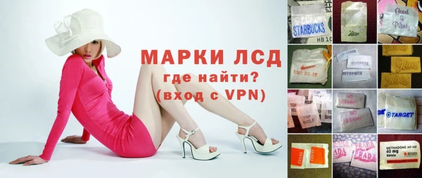 индика Богородск