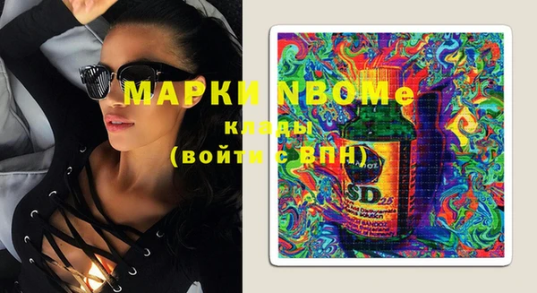 дмт Богородицк