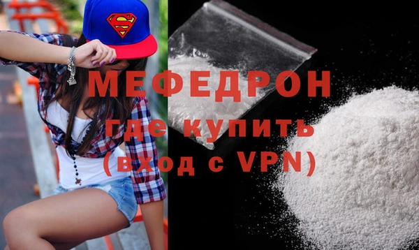 индика Богородск