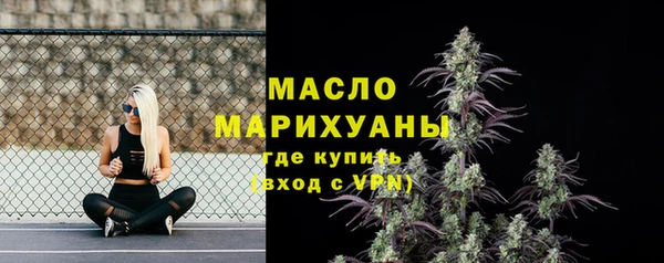 дмт Богородицк