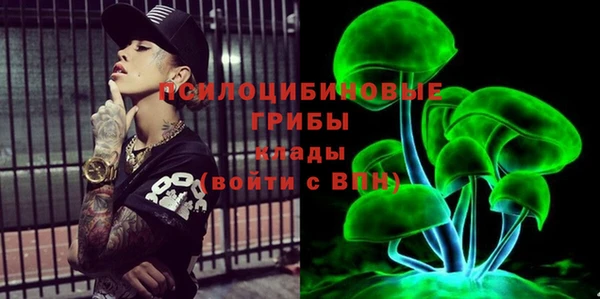 индика Богородск