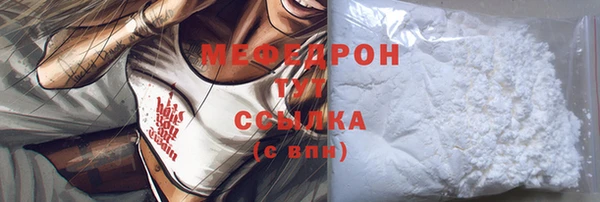 индика Богородск
