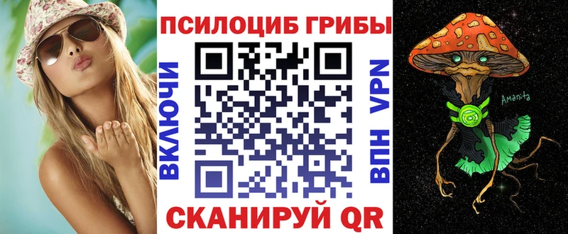 Купить  Ардатов  Галлюциногенные грибы Cubensis 